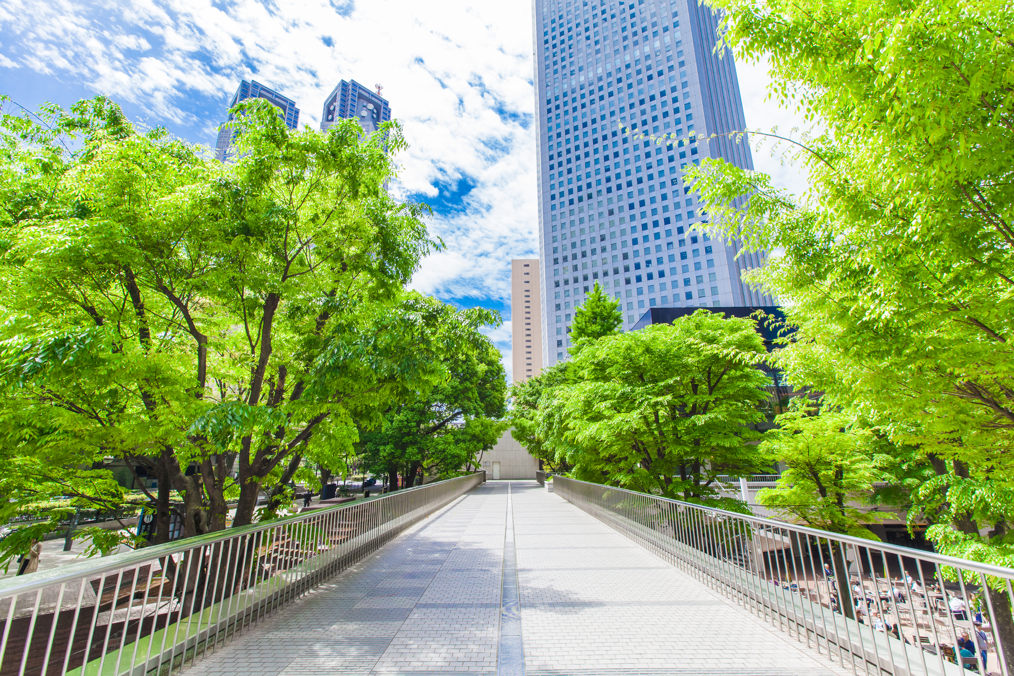 福岡会社